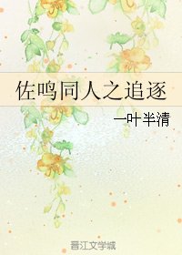 (BL/火影同人)佐鸣同人之追逐