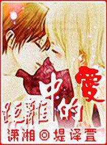 《距离中的爱文》