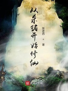 《從殺豬開始修仙》