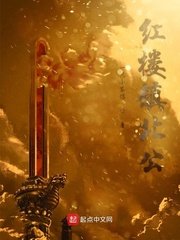 《红楼镇北公》