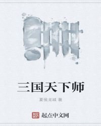 《三国天下师》