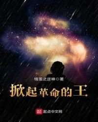 《掀起革命的王》