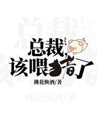 《总裁,该喂猪了》