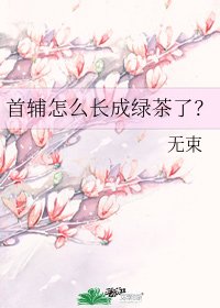 《首辅怎么长成绿茶了?》