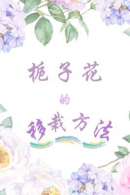 梔子花的移栽方法