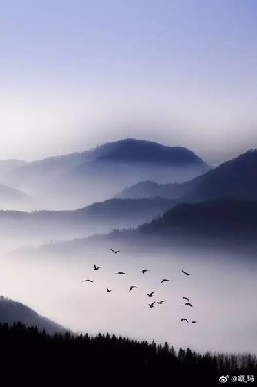 洛書·落花時