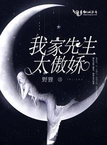 《我家先生太傲嬌》