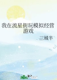 《(火影同人)我在流星街玩模拟经营游戏》