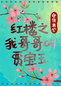 (红楼同人)红楼之我哥哥叫贾宝玉