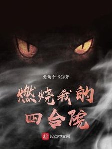 《燃烧我的四合院》