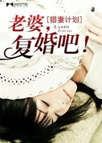 《猎妻计划:老婆,复婚吧!》