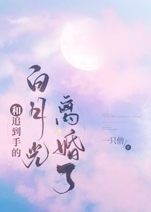 《和追到手的白月光离婚了》
