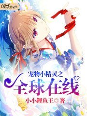 《宠物小精灵之全球在线》