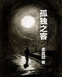 《孤独之客》
