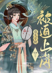 《前太子妃被迫上岗》