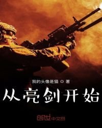 《从亮剑开始崛起》