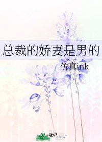 总裁的娇妻是男的