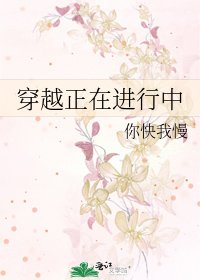 《穿越正在进行中》