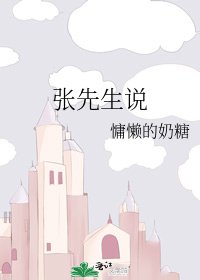 张先生说