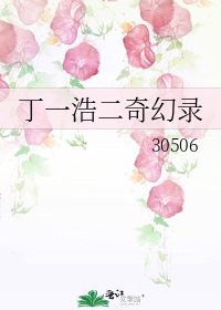 《丁一浩二奇幻錄》