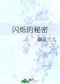 《闪烁的秘密》