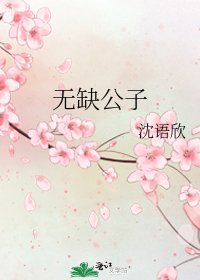 《无缺公子》