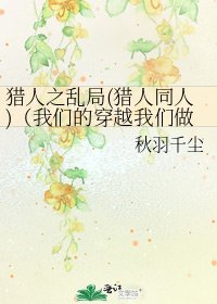 猎人之乱局(猎人同人)(我们的穿越我们做主)