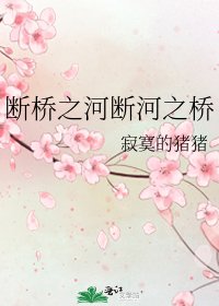 《断桥之河断河之桥》