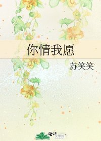 你情我愿