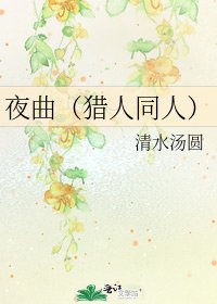 《夜曲(猎人同人)》