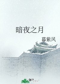 《暗夜之月》