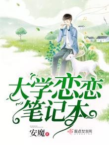 《大学恋恋笔记本》