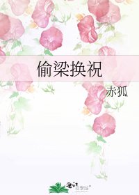 《偷梁换祝》