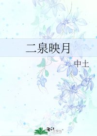 《二泉映月》