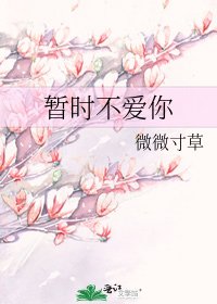 《暫時不愛你》