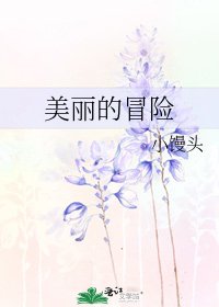 《美丽的冒险》