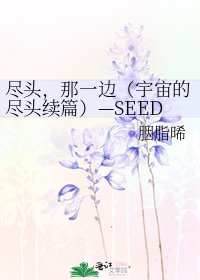 《尽头,那一边(宇宙的尽头续篇)—SEED同人(AK)》