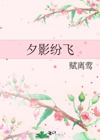 《夕影紛飛》