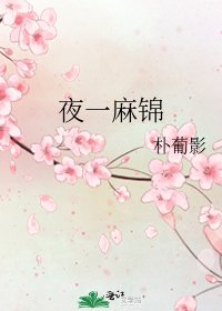 《夜一麻錦》