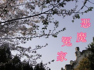《恶魔冤家》