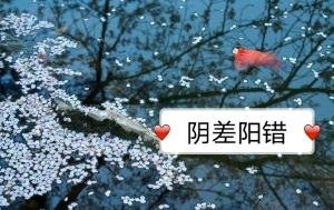 《阴差阳错》