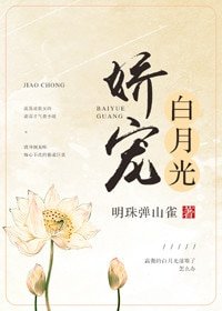 《哈寵沙月光》