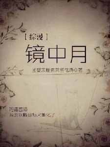 《【综漫】镜中月》