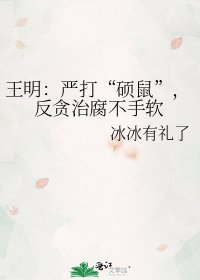 王明：严打“硕鼠”，反贪治腐不手软