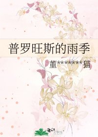 《普罗旺斯的雨季》