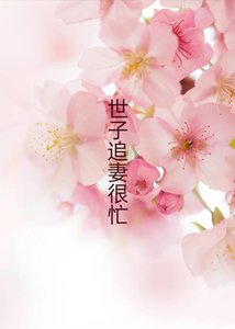 《世子追妻很忙,勿扰》