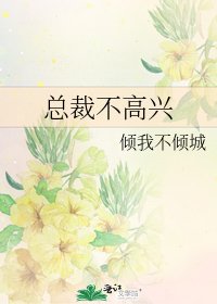 《总裁不高兴》