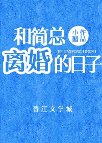 《和简总离婚的日子》