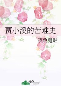 《賈小溪的苦難史》