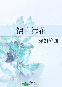 《錦上添花》